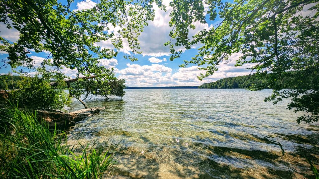 Großer Stechlinsee