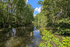 Kagar Bach bei Rheinsberg